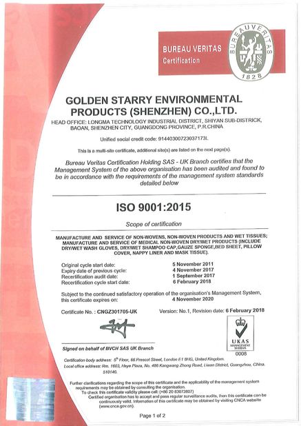중국 Golden Starry Environmental Products (Shenzhen) Co., Ltd. 인증
